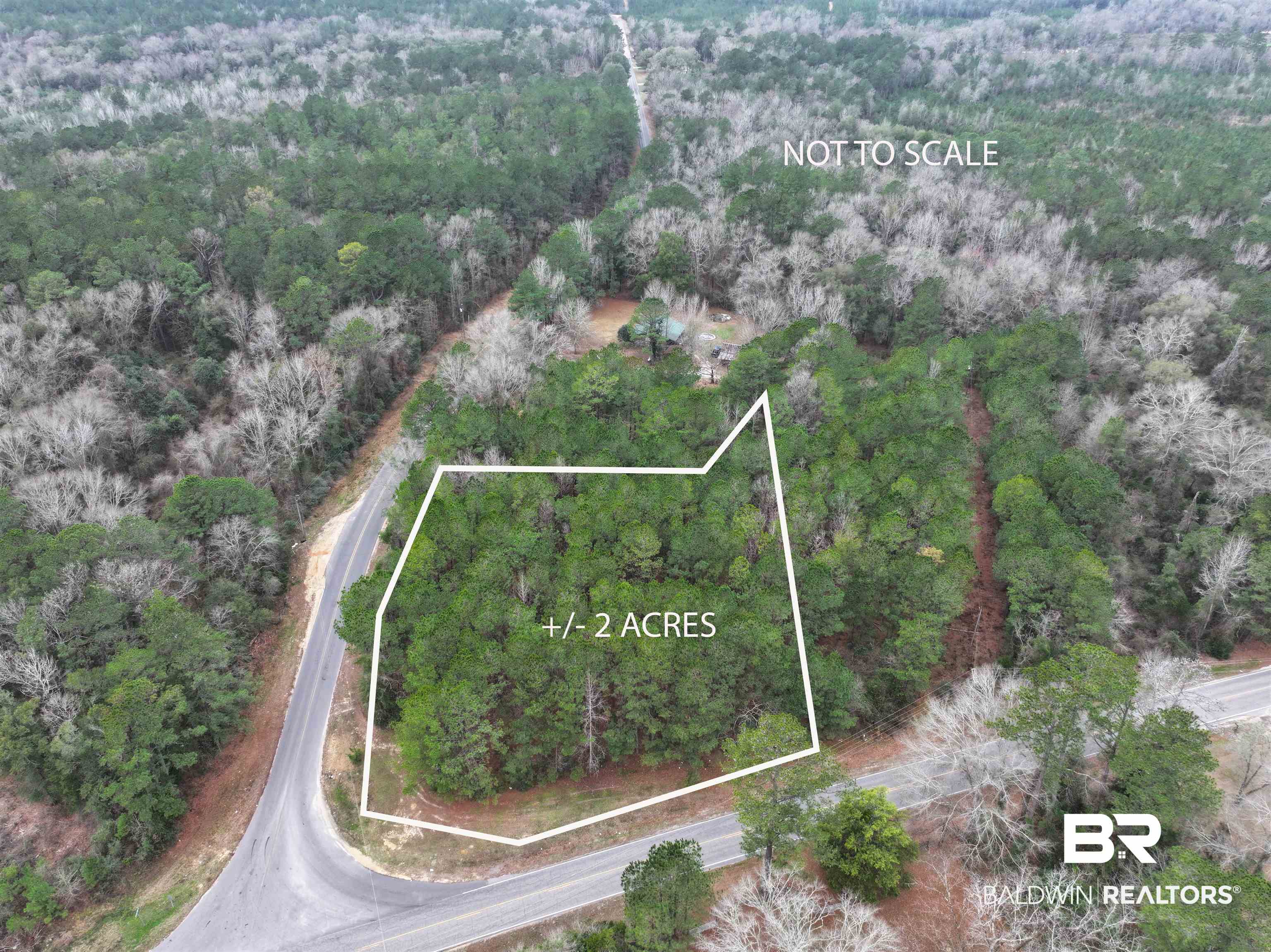 2451 Tippens Eddy Road Brewton, AL 36426 - Photo 4 of 4 Birds eye view of property