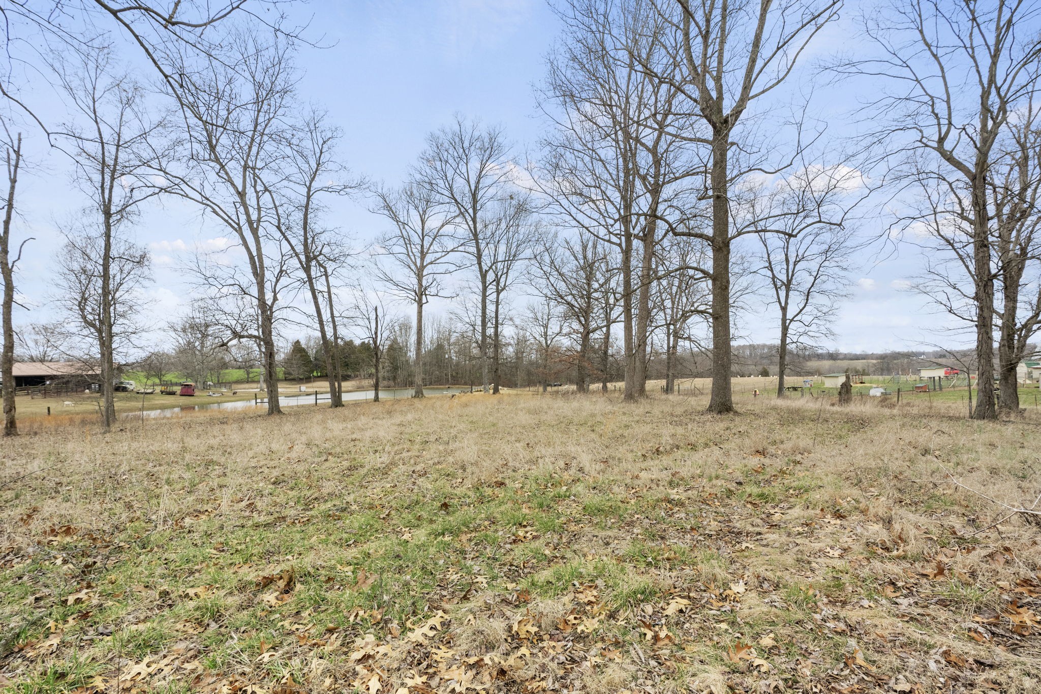 12480 Owens Chapel Road Springfield, TN 37172 - Photo 27 of 36 a view of a yard with a tree
