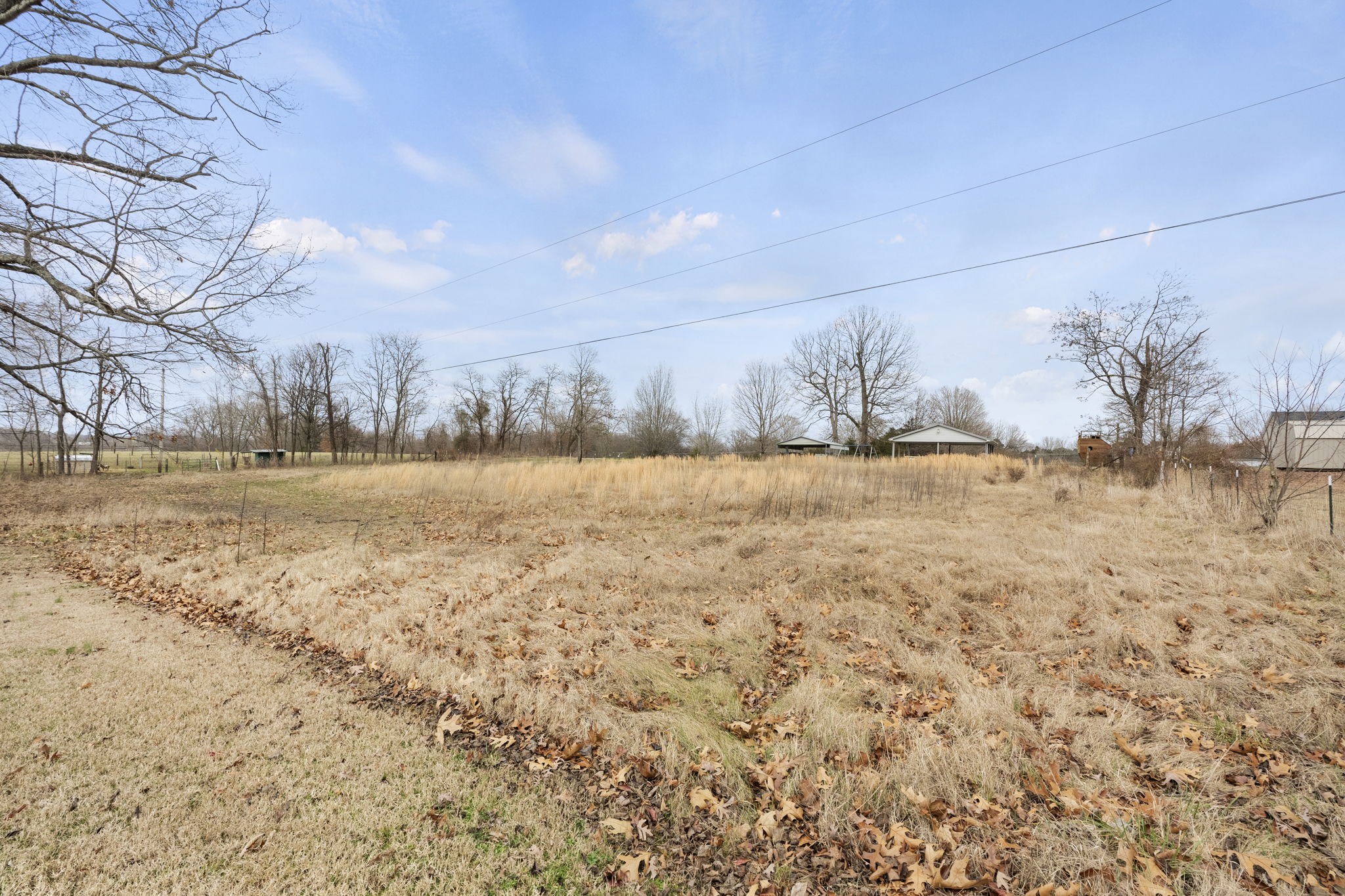12480 Owens Chapel Road Springfield, TN 37172 - Photo 30 of 36 a view of a yard with a tree