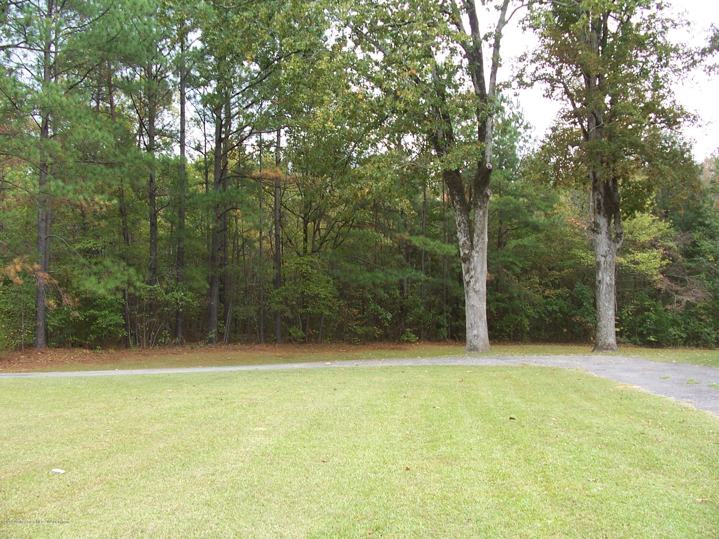983 Moon Jasper, AL 35501 - Photo 12 of 12 Gallery Image 12