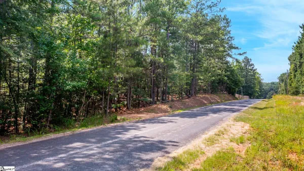 $60,000 | 0 Stomp Springs Road, Clinton, SC 29325