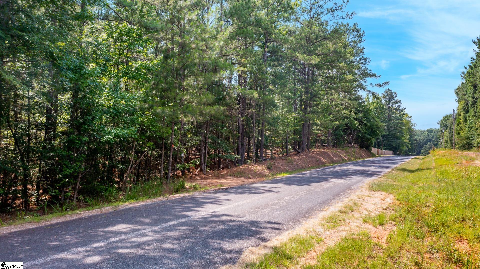 0 Stomp Springs Road Clinton, SC 29325 - Photo 1 of 15