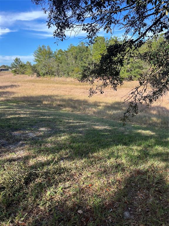 2441 Dustin Circle Spring Hill, FL 34608 - Photo 34 of 46