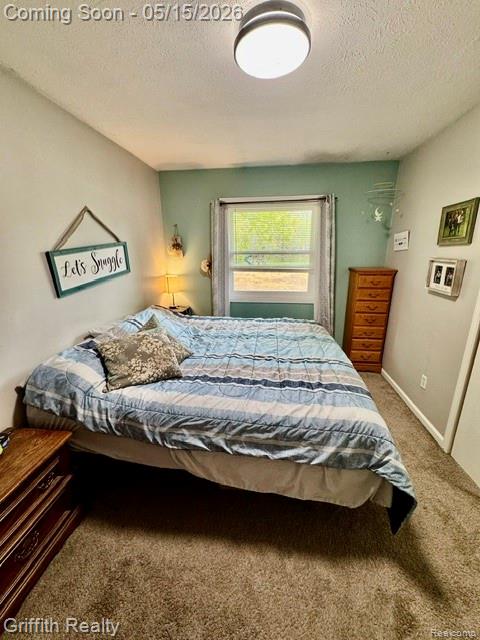 3148 Hogback Road Fowlerville, MI 48836 - Photo 27 of 63
