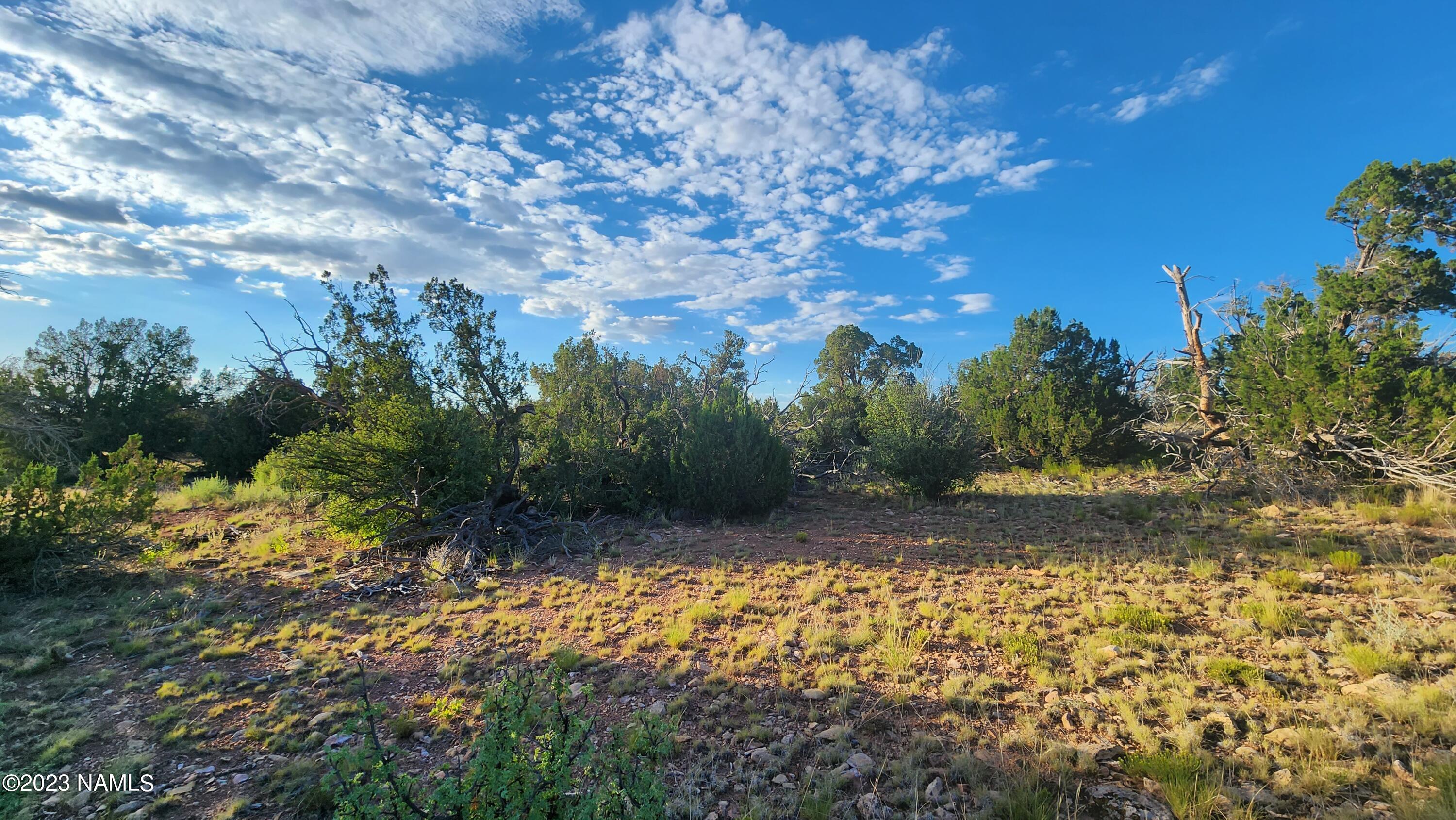 5854 South Estrella Road Williams, AZ 86046 - Photo 1 of 26 20230719_183402