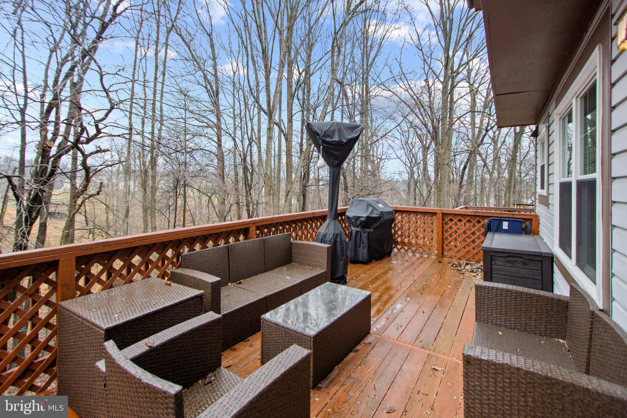 1653 Hugo Circle Silver Spring, MD 20906 - Photo 14 of 38 Gallery Image 14