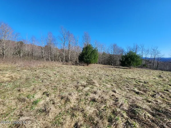$105,000 | L2 Lang Rd Summit, Summit, NY 12175