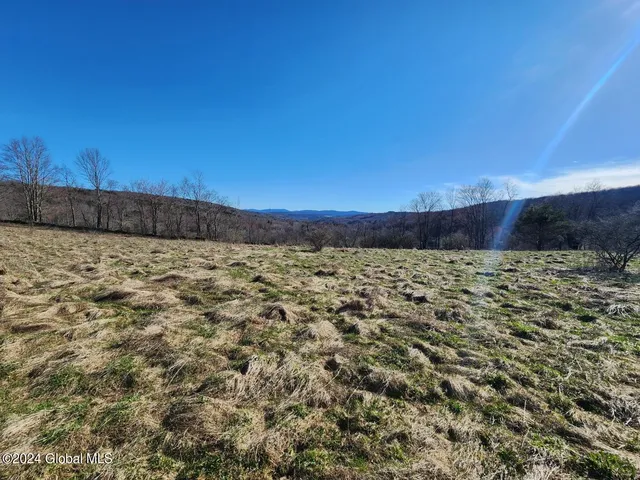 $105,000 | L2 Lang Rd Summit, Summit, NY 12175