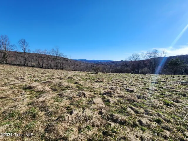 $105,000 | L2 Lang Rd Summit, Summit, NY 12175
