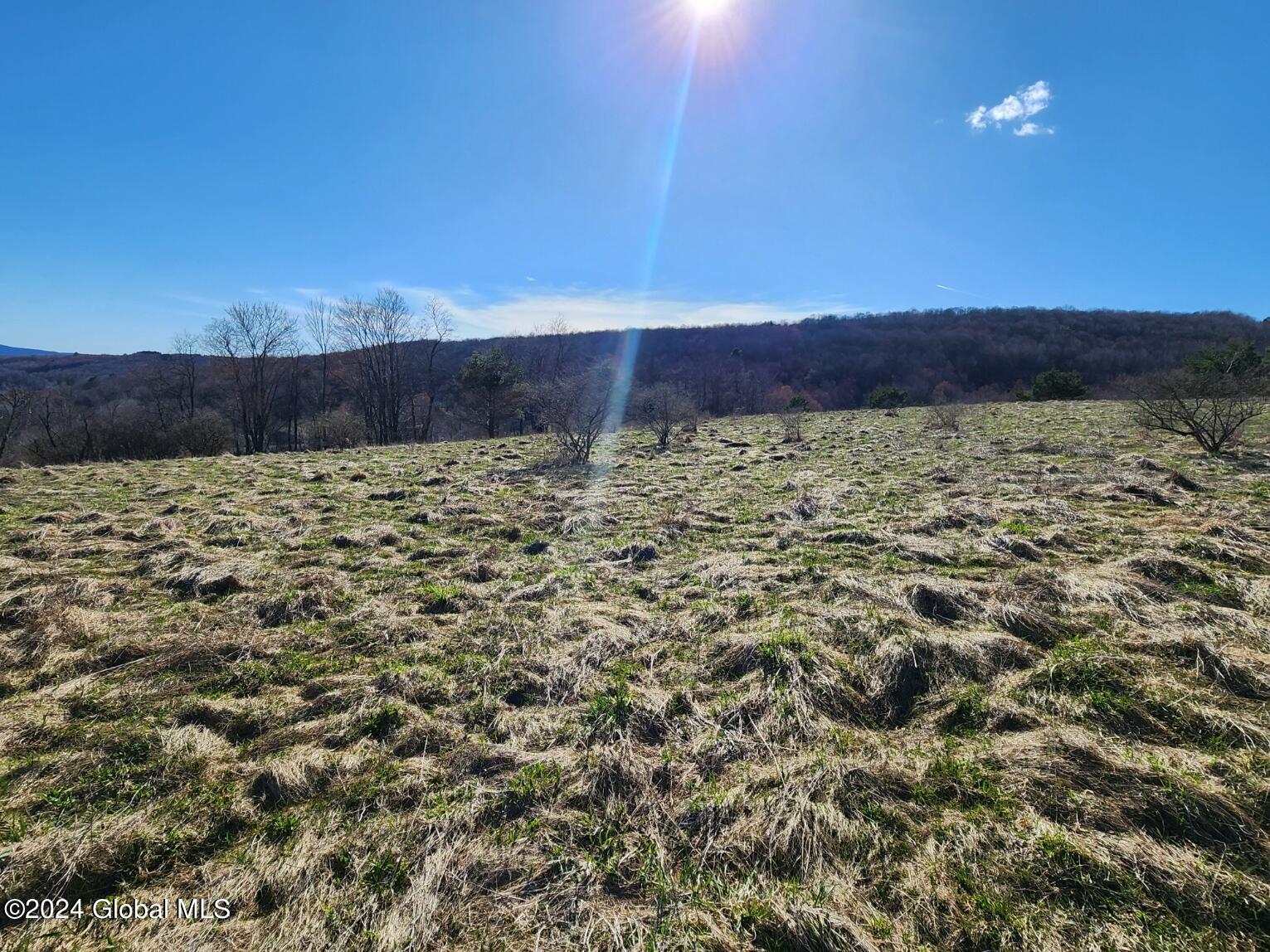 L2 Lang Rd Summit Summit, NY 12175 - Photo 14 of 19 20240416_164551