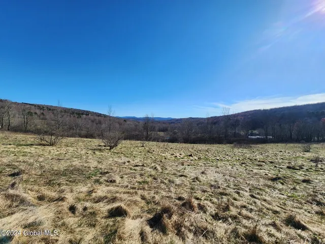 $105,000 | L2 Lang Rd Summit, Summit, NY 12175