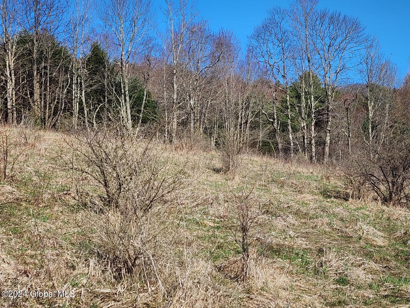 L2 Lang Rd Summit Summit, NY 12175 - Photo 16 of 19 20240416_165702