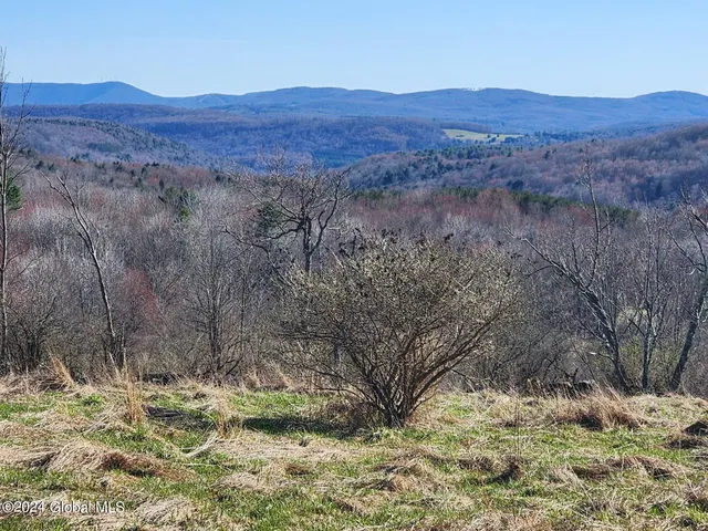 $105,000 | L2 Lang Rd Summit, Summit, NY 12175