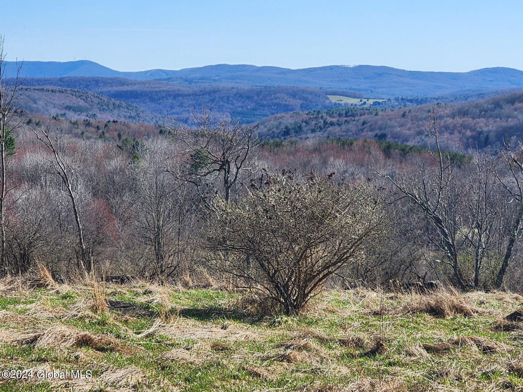 L2 Lang Rd Summit Summit, NY 12175 - Photo 2 of 19 20240416_164546