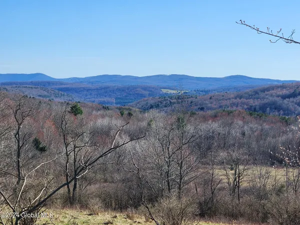 $105,000 | L2 Lang Rd Summit, Summit, NY 12175