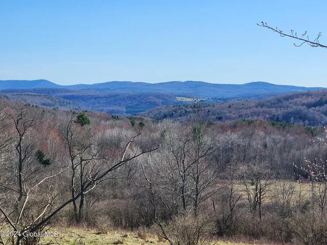 $105,000 | L2 Lang Rd Summit, Summit, NY 12175