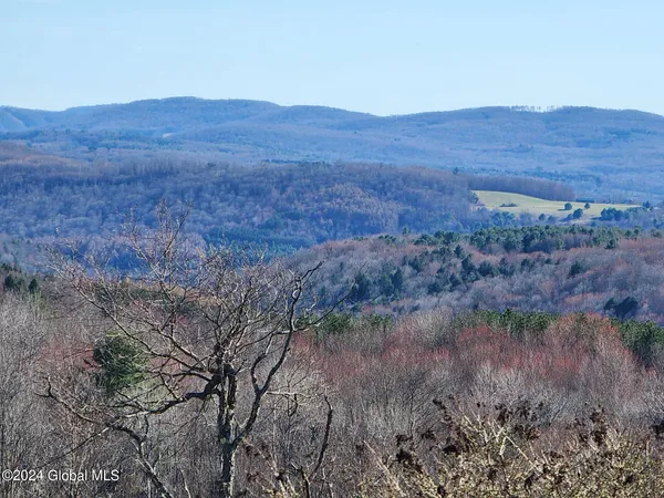 $105,000 | L2 Lang Rd Summit, Summit, NY 12175