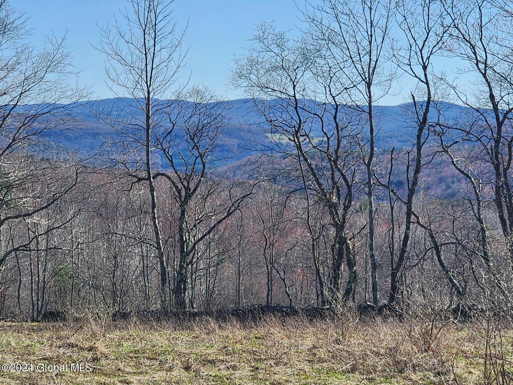 L2 Lang Rd Summit Summit, NY 12175 - Photo 5 of 19 20240416_163935