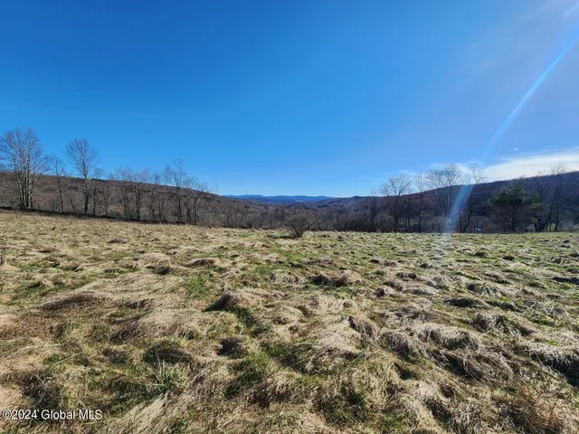 $105,000 | L2 Lang Rd Summit, Summit, NY 12175