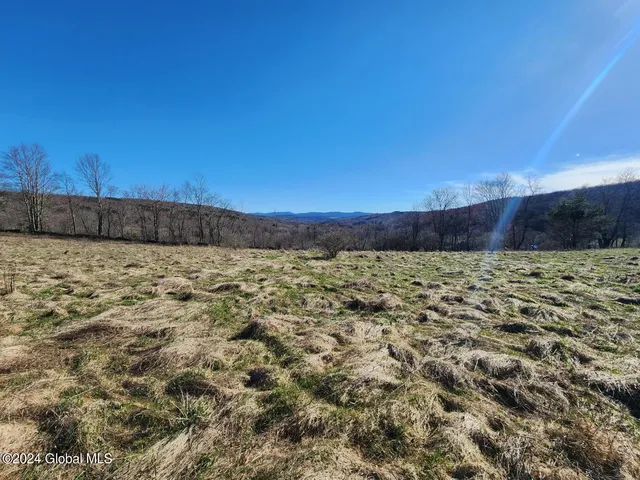 $105,000 | L2 Lang Rd Summit, Summit, NY 12175