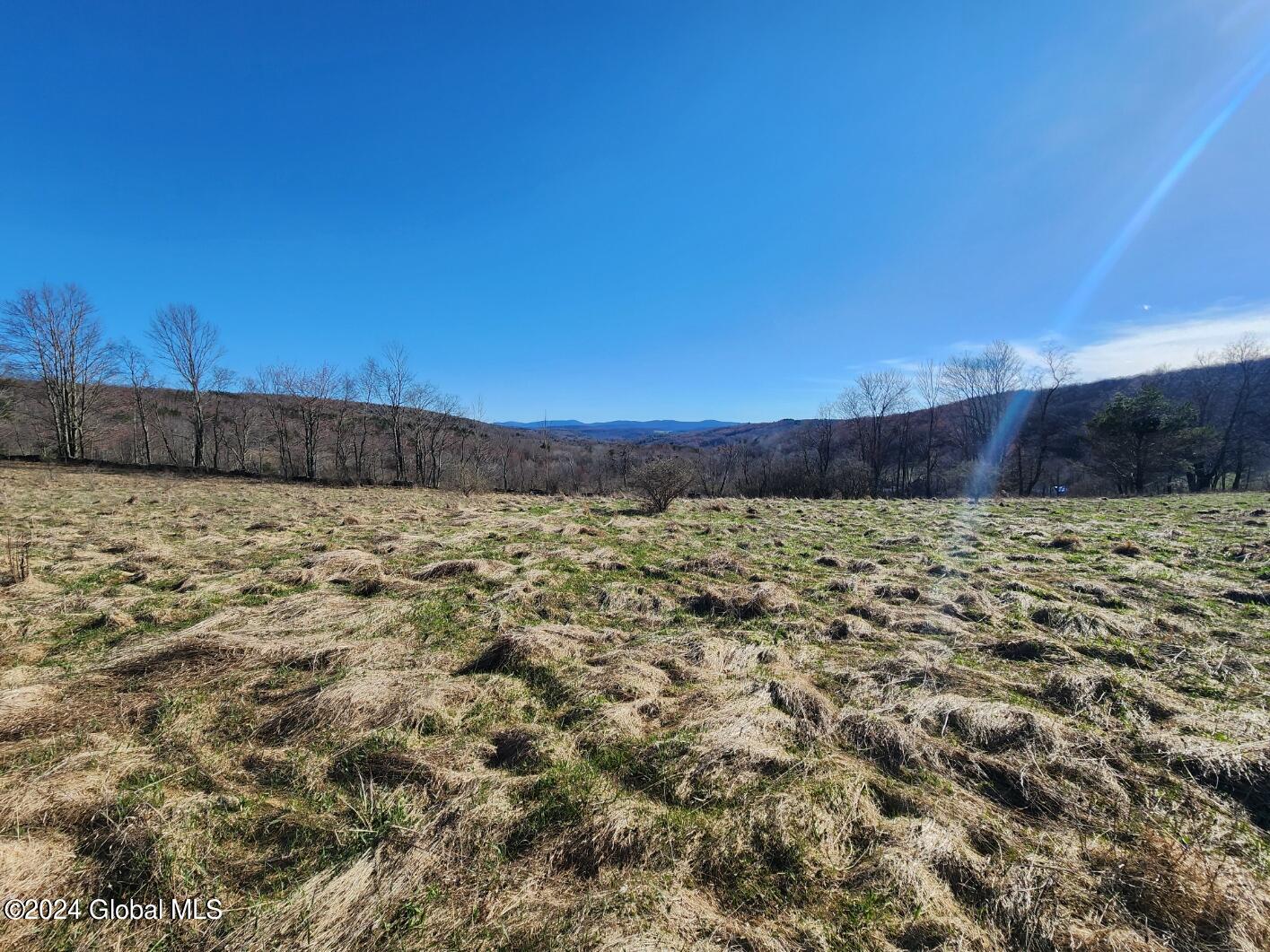 L2 Lang Rd Summit Summit, NY 12175 - Photo 7 of 19 20240416_164606