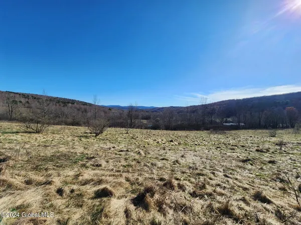 $105,000 | L2 Lang Rd Summit, Summit, NY 12175