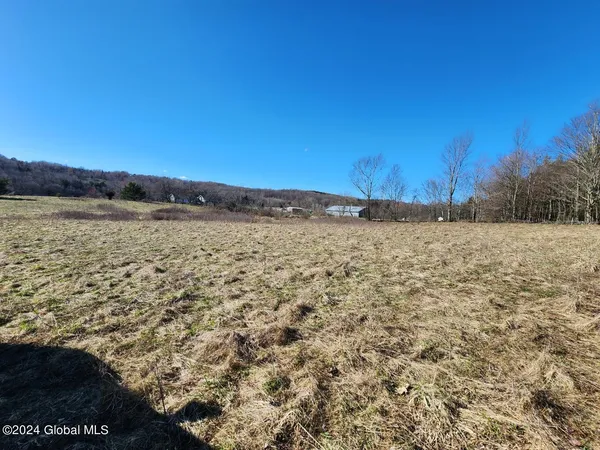 $105,000 | L2 Lang Rd Summit, Summit, NY 12175