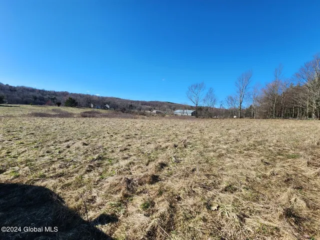 $105,000 | L2 Lang Rd Summit, Summit, NY 12175