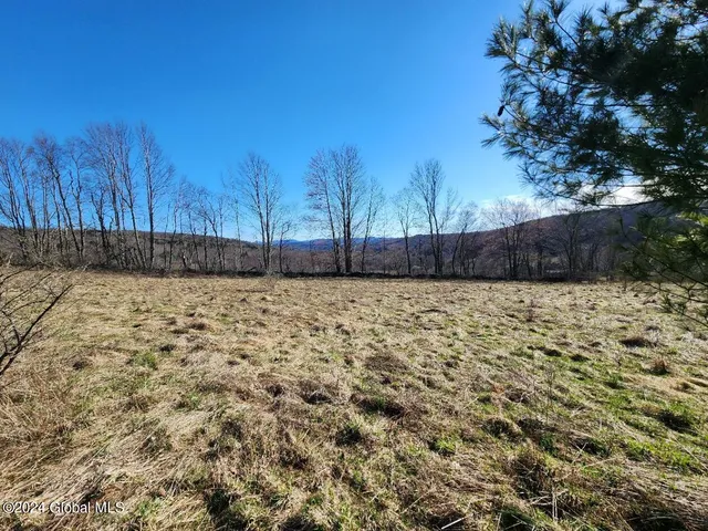 $105,000 | L2 Lang Rd Summit, Summit, NY 12175