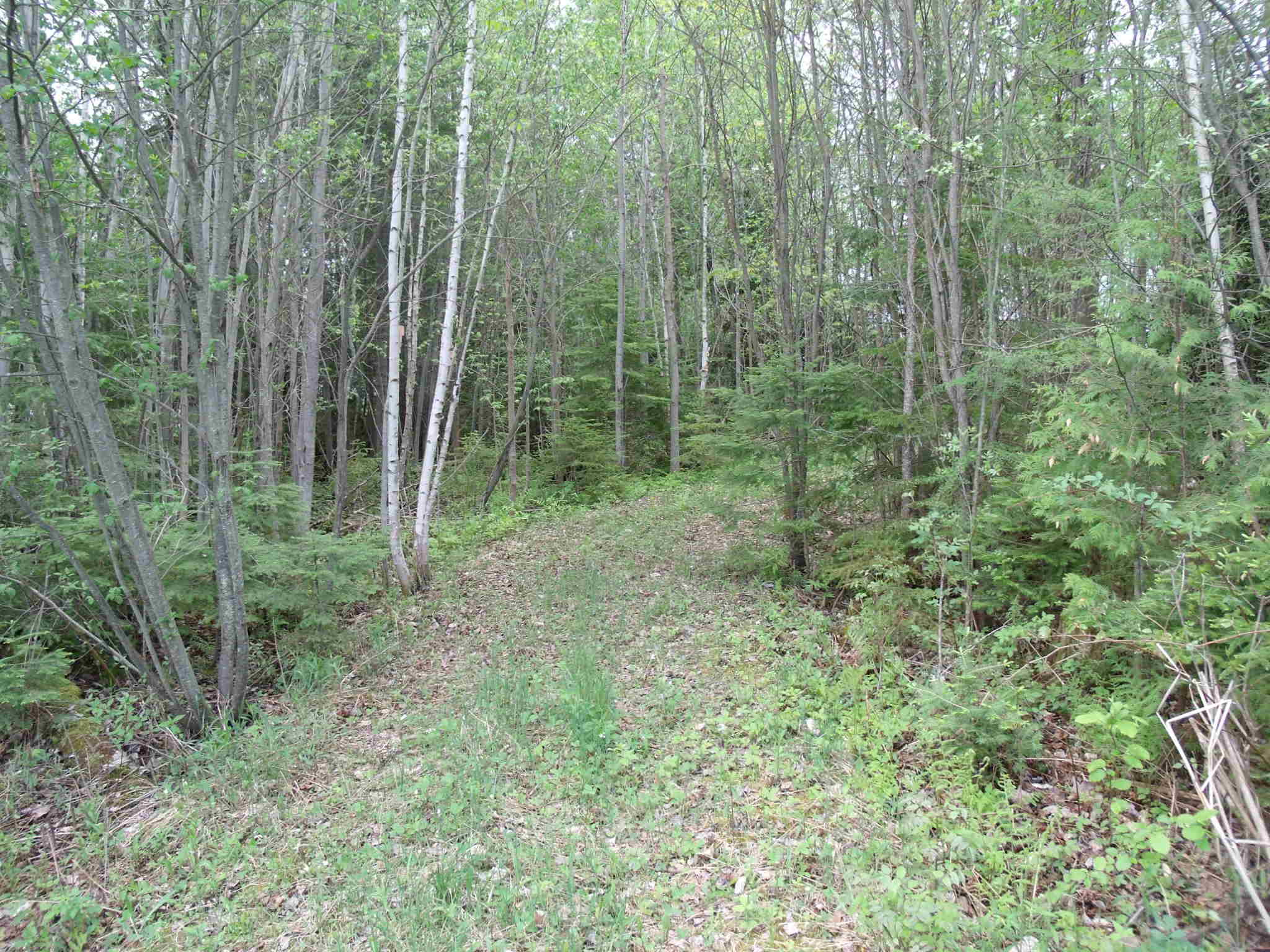 7131 McDonald Road Cheboygan, MI 49721 - Photo 13 of 34 Gallery Image 13