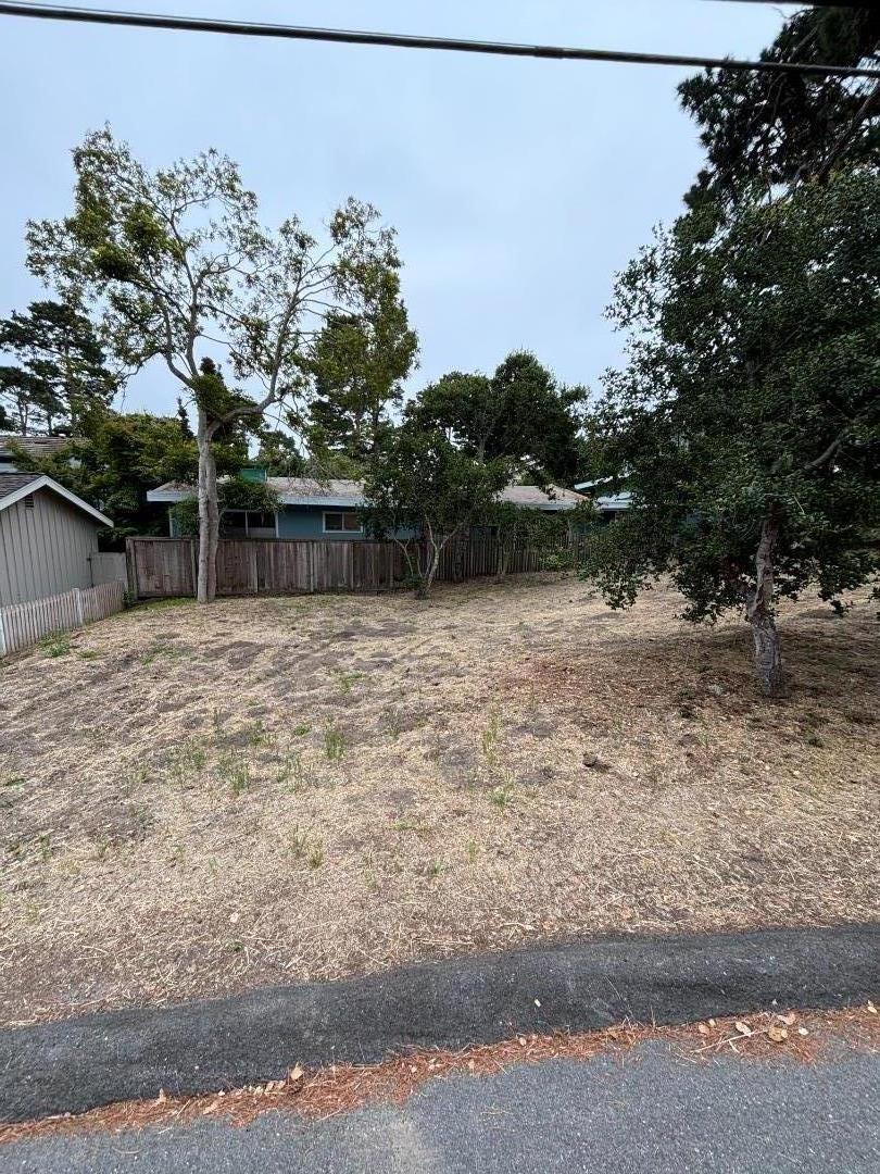 0 Mountain View Carmel, CA 93923 - Photo 2 of 3