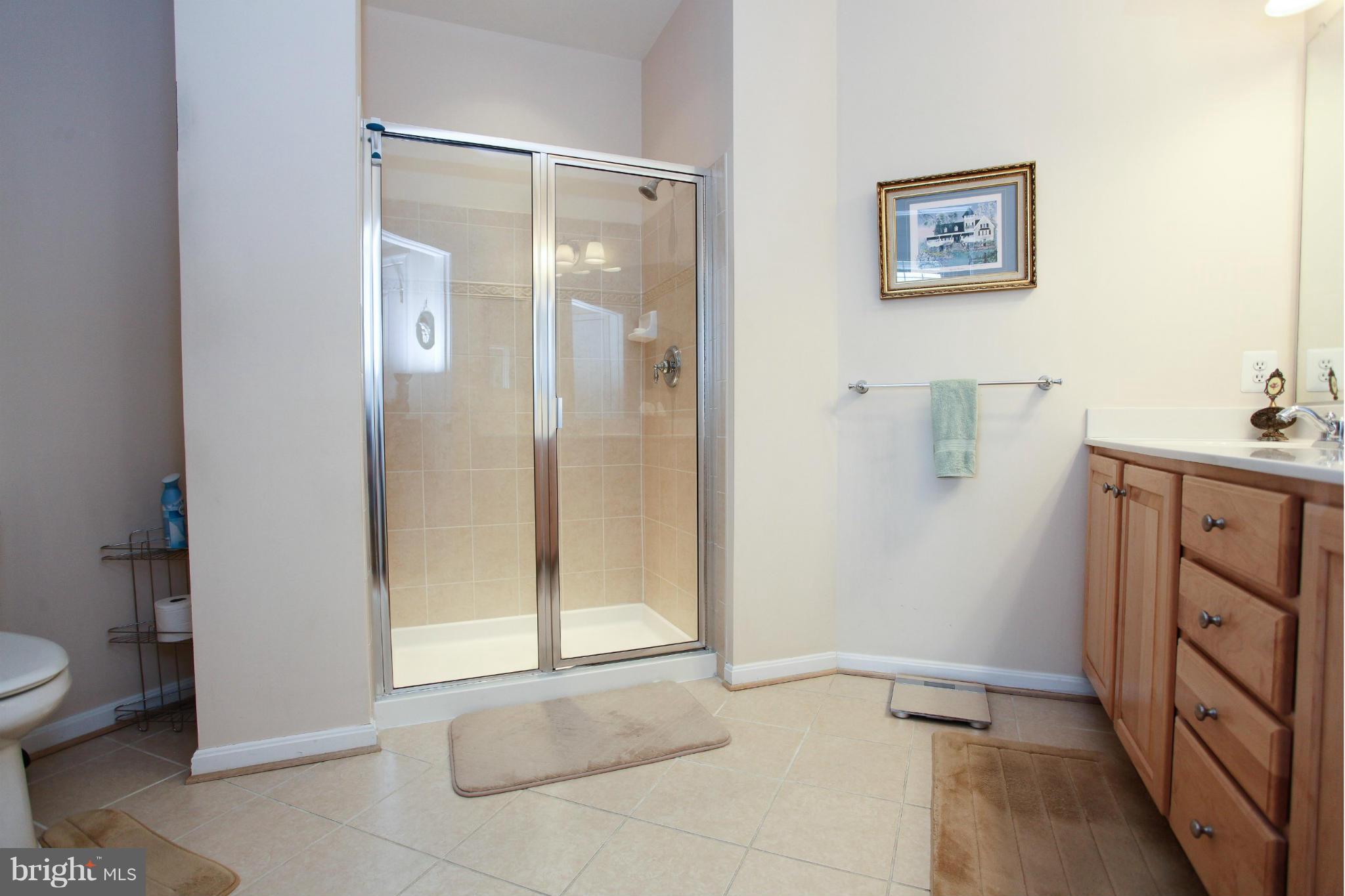 7325 Brookview Road, Unit 406 Elkridge, MD 21075 - Photo 18 of 25 Master Bath
