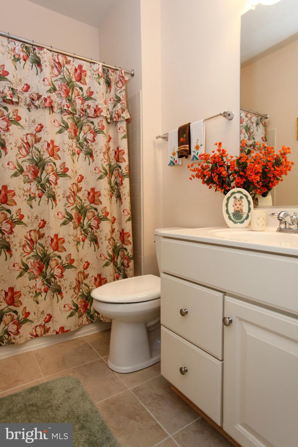 7325 Brookview Road, Unit 406 Elkridge, MD 21075 - Photo 21 of 25 Second bath
