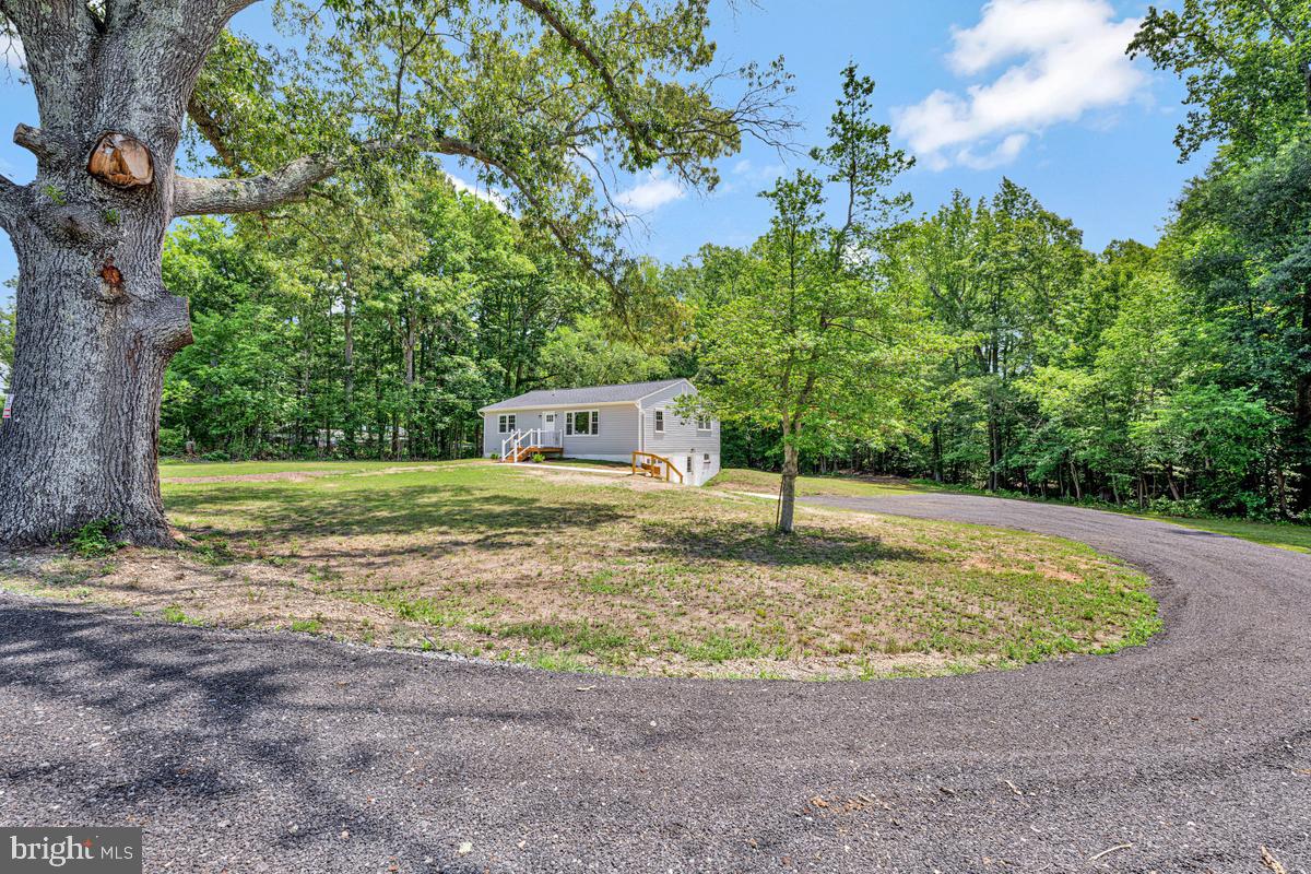 13304 Cherry Tree Crossing Road Brandywine, MD 20613 - Photo 8 of 32 Charming home nestled in nature's embrace.