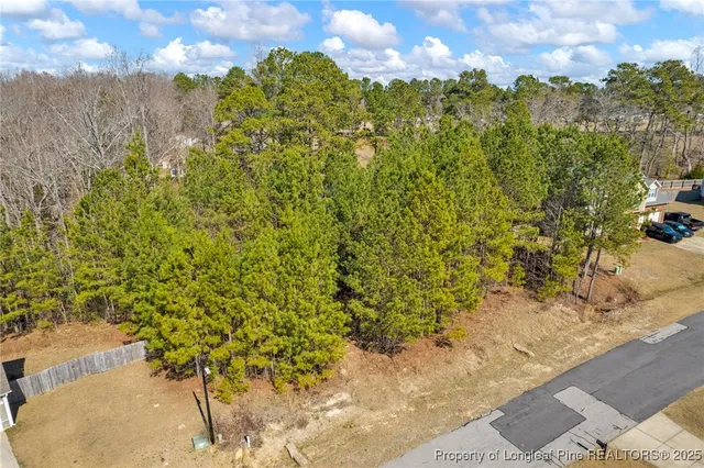 a view of a yard with plants