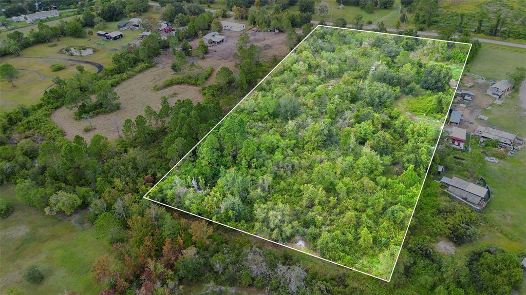 High Plains Lane Kissimmee, FL 34744 - Photo 3 of 4 a view of a yard