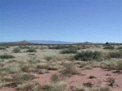 0 South Kansas Settlement Road Pearce, AZ 85625 - Photo 2 of 3