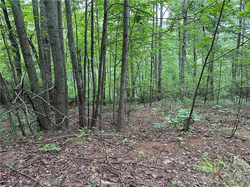 585 Galaxy Way Ranger, GA 30734 - Photo 8 of 19