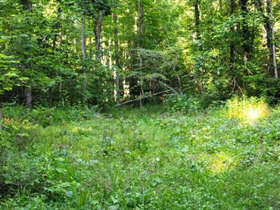 2437 Pilot Road Stanton, KY 40380 - Photo 17 of 56 Photo 17