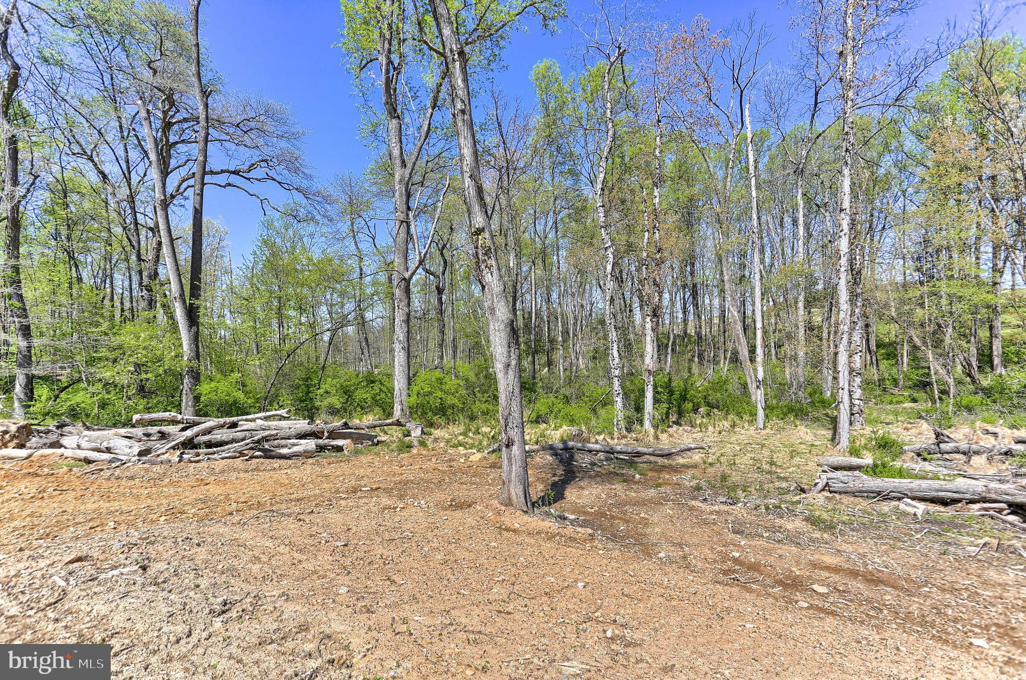475 Rockville Road Spring Grove, PA 17362 - Photo 9 of 12