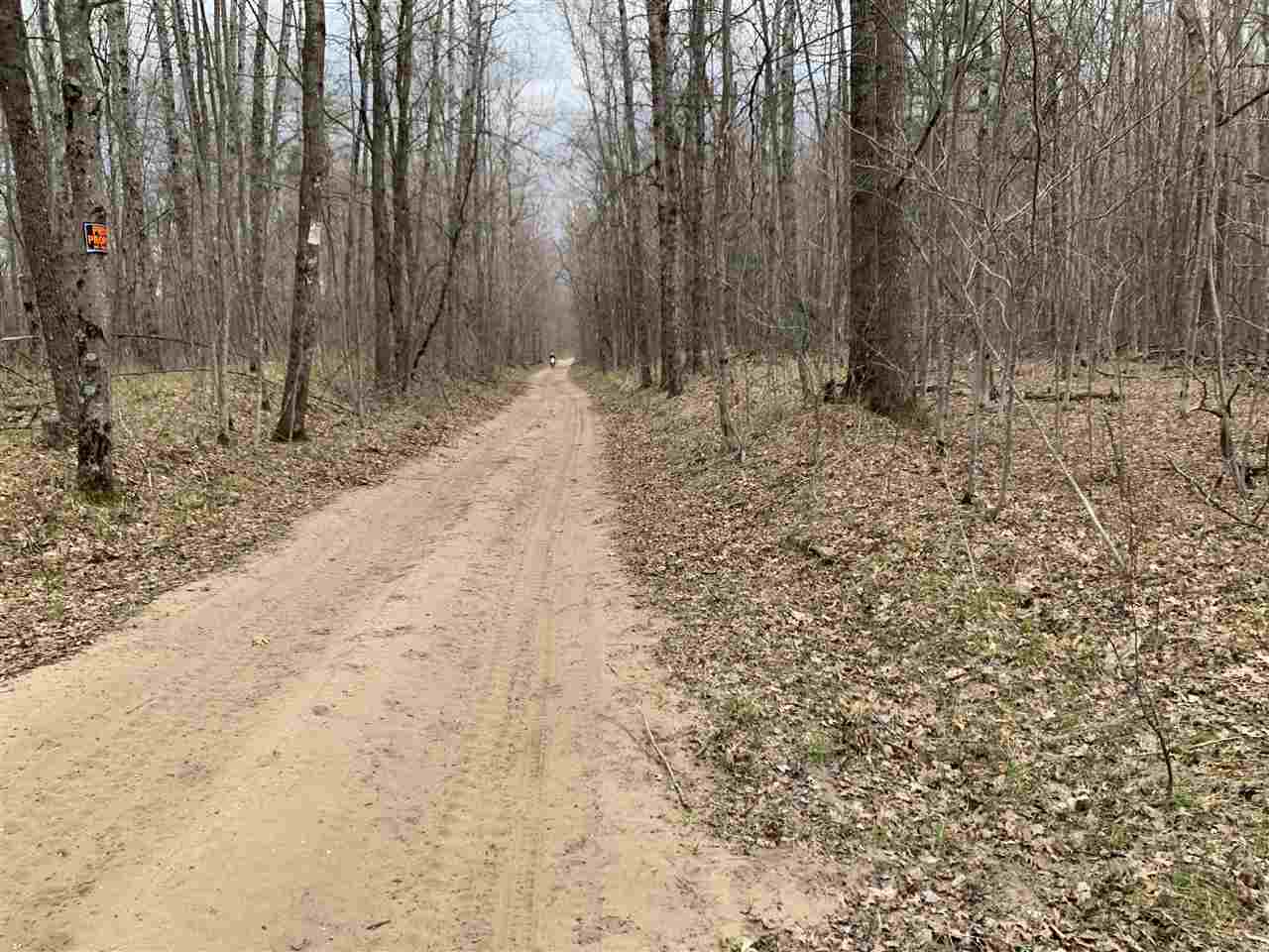 Parcel E East Haskell Lake Road Harrison, MI 48625 - Photo 16 of 25