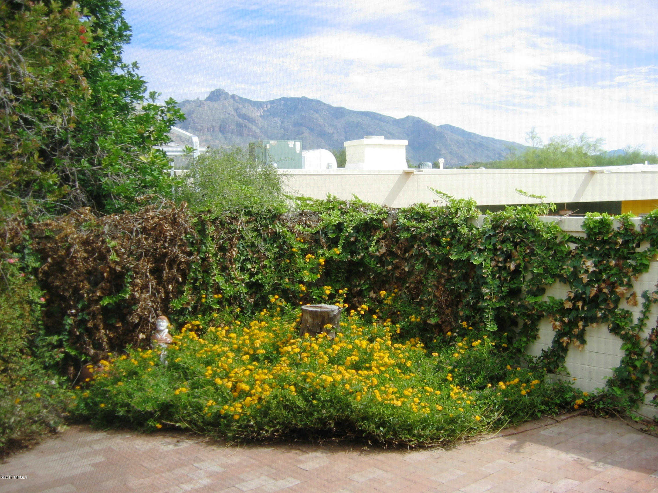 6100 North Oracle Road, Unit 21 Tucson, AZ 85704 - Photo 14 of 22 Gallery Image 14