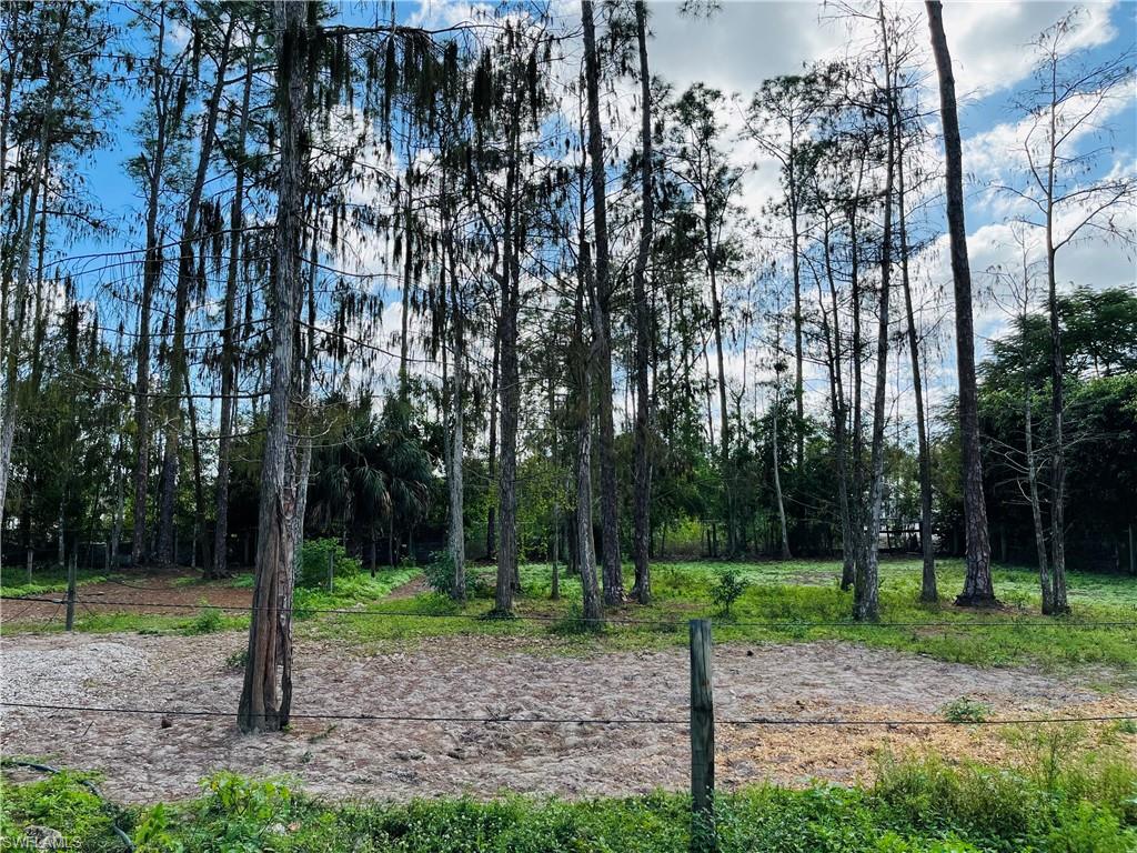 6730 Sable Ridge Lane Naples, FL 34109 - Photo 26 of 27 a view of a park with large trees