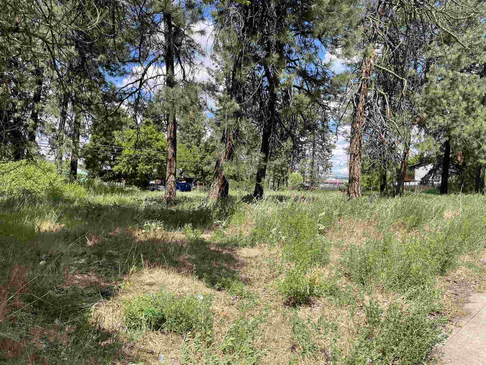 1-xxx East Decatur Avenue Spokane, WA 99208 - Photo 3 of 4 Gallery Image 3