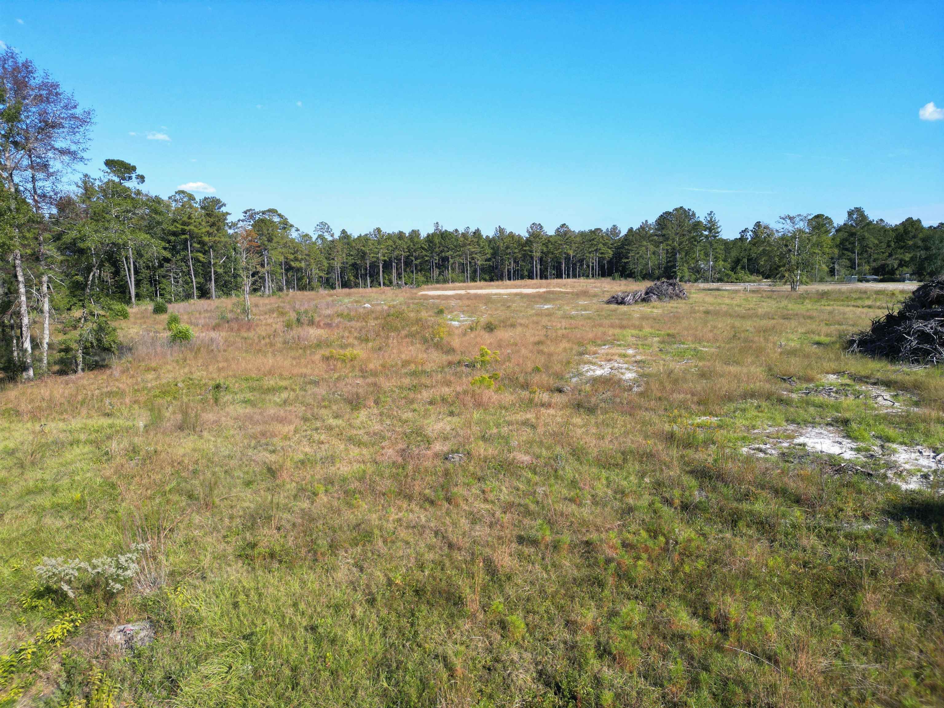 17752 Arnold Kelly Road Hosford, FL 32334 - Photo 4 of 12