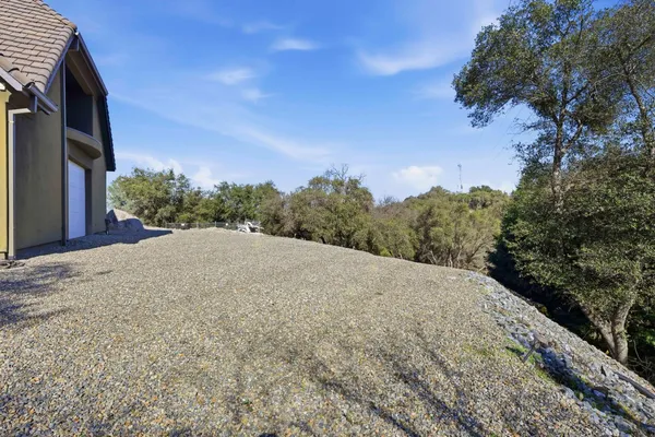 a view of a hallway with a large tree