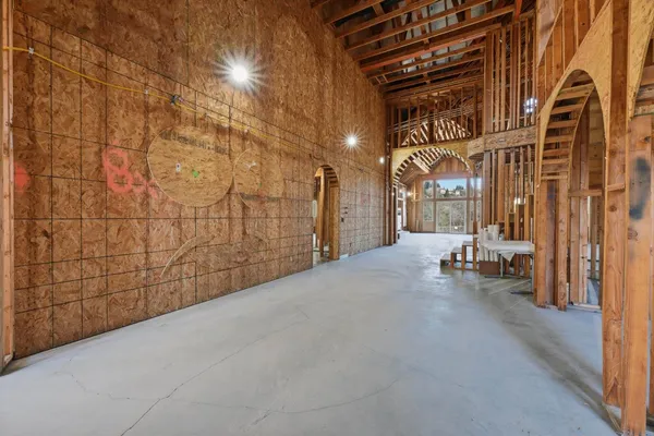 a view of some trees in the forest