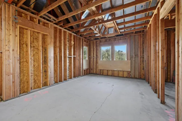 a view of a dry yard with trees