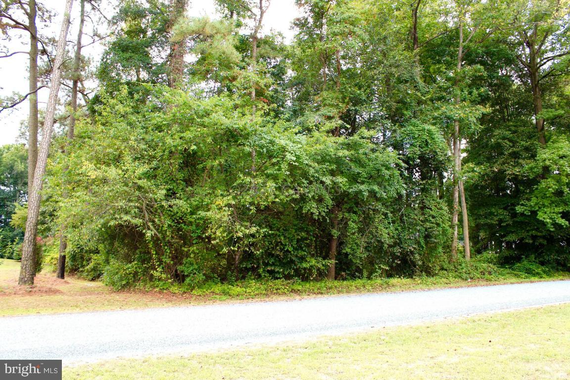 Lot 2 Cobbs Hill Road Willards, MD 21874 - Photo 1 of 2 Gallery Image 1