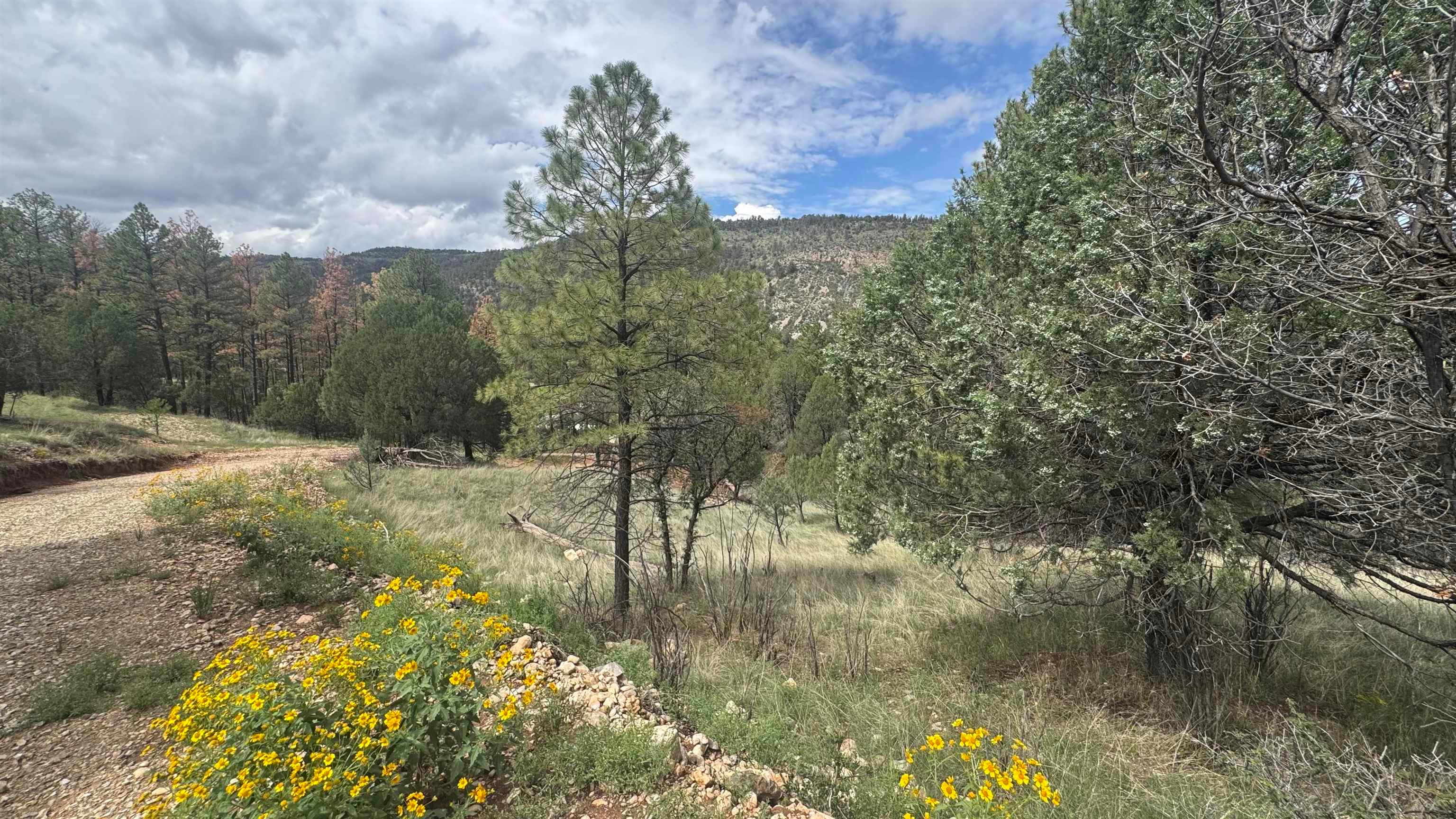 1826 A Rio Penasco Road Mayhill, NM 88339 - Photo 1 of 7 Gallery Image 1